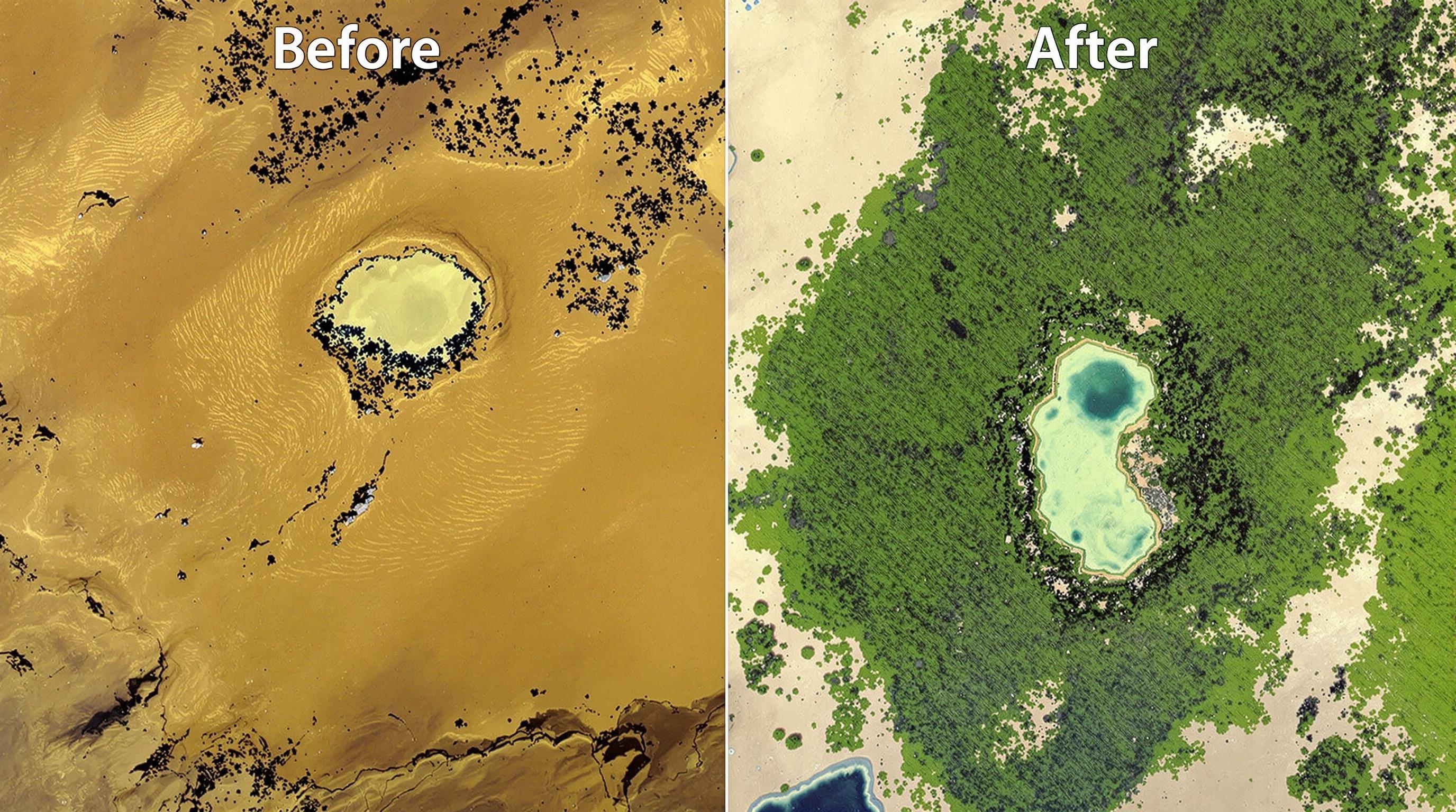 Before and after comparison of desert restoration